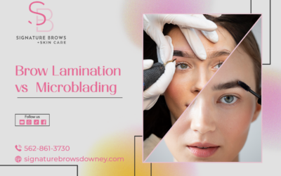 Unsure About Microblading? Brow Lamination: The Low-Commitment Option | Signature Brows